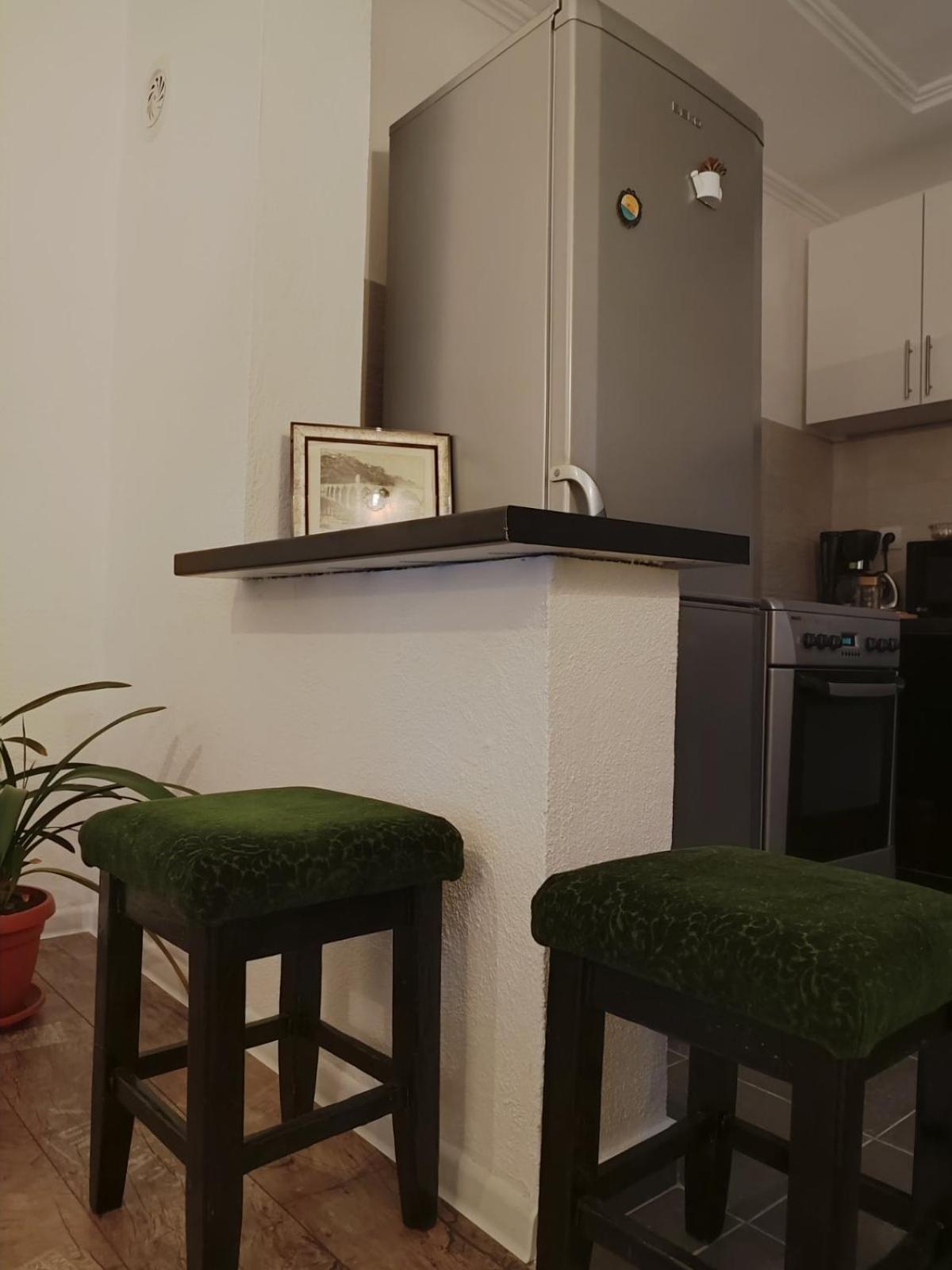 Apartman Aska Višegrad エクステリア 写真